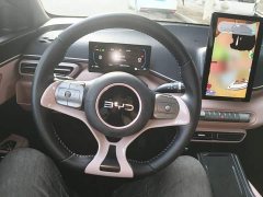 BYD Seagull Glory Edition 305km Freedom Version - ფოტო 10