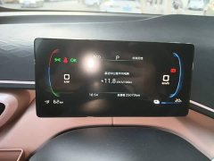 BYD Seagull Glory Edition 305km Freedom Version - ფოტო 11