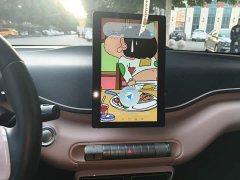 BYD Seagull Glory Edition 305km Freedom Version - ფოტო 12