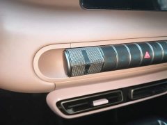 BYD Seagull Glory Edition 305km Freedom Version - ფოტო 13