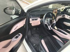 BYD Seagull Glory Edition 305km Freedom Version - ფოტო 15