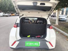BYD Seagull Glory Edition 305km Freedom Version - ფოტო 18