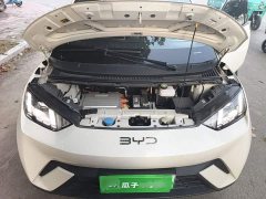 BYD Seagull Glory Edition 305km Freedom Version - ფოტო 19