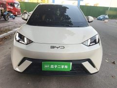 BYD Seagull Glory Edition 305km Freedom Version - ფოტო 2