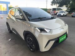 BYD Seagull Glory Edition 305km Freedom Version - ფოტო 3