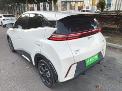 BYD Seagull Glory Edition 305km Freedom Version - ფოტო 4