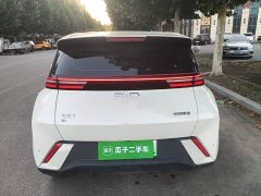BYD Seagull Glory Edition 305km Freedom Version - ფოტო 5