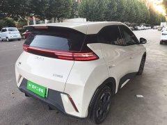 BYD Seagull Glory Edition 305km Freedom Version - ფოტო 6