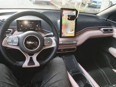 BYD Seagull Glory Edition 305km Freedom Version - ფოტო 9