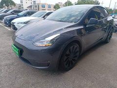 Tesla Model Y Performance All-Wheel Drive - ფოტო 1