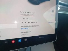 Tesla Model Y Performance All-Wheel Drive - ფოტო 11