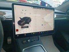 Tesla Model Y Performance All-Wheel Drive - ფოტო 12