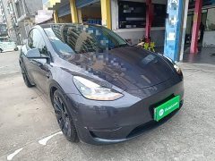 Tesla Model Y Performance All-Wheel Drive - ფოტო 3