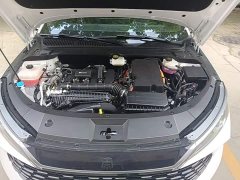 BYD Qin L DM-i Smart Drive Edition 120KM Excellence - photo 19