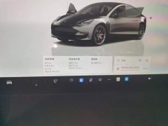 Tesla Model 3 Performance All-Wheel Drive - ფოტო 11
