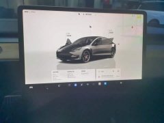 Tesla Model 3 Performance All-Wheel Drive - ფოტო 12