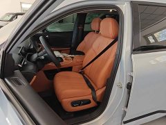 GAC AION V Aion Tyrannosaurus 520 Smart Luxury Edition - photo 14