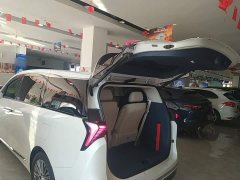 Buick GL8 New Energy Luzun Luxury Edition 6-Seater - photo 18