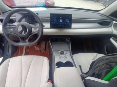 BYD Seagull 05 DM-i Smart Drive Edition 55KM Luxury - фото 9