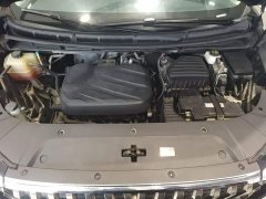 Maxus G90 2.0T Edition - ფოტო 19
