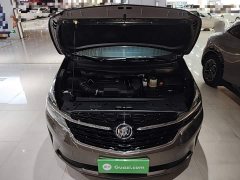 Buick GL8 Land Executive Cabin 652T Luxury - photo 19