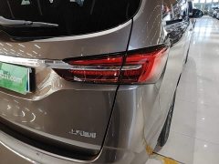 Buick GL8 Land Executive Cabin 652T Luxury - photo 7