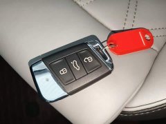 Volkswagen Magotan 2 Million Units Commemorative Edition 280TSI DSG Leading Type - photo 8