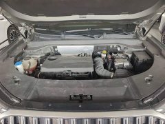 Chery Tiggo 9 2.0T DCT FWD Luxury 5-Seater - ფოტო 19