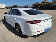 Geely Xingrui 2.0T Diesel Premium - ფოტო 4
