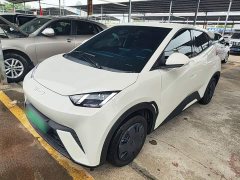 BYD Seagull 305km Vitality Edition - ფოტო 1