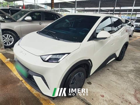 2025 BYD Seagull 305km Vitality Edition - ავტომობილი ჩინეთიდან