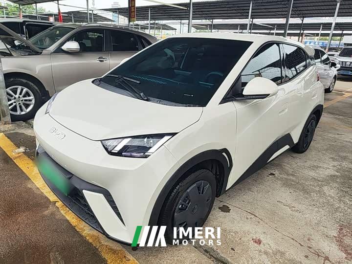 BYD Seagull 305km Vitality Edition