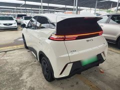 BYD Seagull 305km Vitality Edition - ფოტო 4