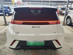 BYD Seagull 305km Vitality Edition - ფოტო 5