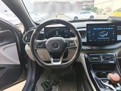 BYD Qin PLUS Glory Edition DM-i 55KM Leading - фото 10