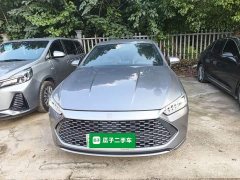 BYD Qin PLUS Glory Edition DM-i 55KM Leading - фото 2