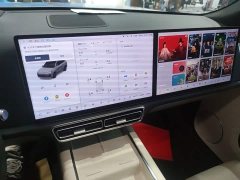 Li Auto L8 Pro - ფოტო 12