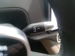 Li Auto L8 Pro - ფოტო 13