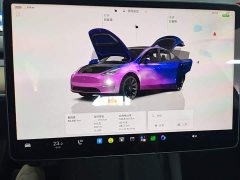 Tesla Model Y Long Range All-Wheel Drive - photo 11