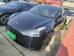 Tesla Model Y Rear-Wheel Drive - photo 1