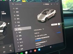 Tesla Model Y Rear-Wheel Drive - ფოტო 11