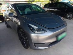 Tesla Model Y Rear-Wheel Drive - ფოტო 3