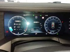 Tank 300 Off-Road Edition 2.0T Conqueror - ფოტო 11