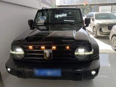 Tank 300 Off-Road Edition 2.0T Conqueror - ფოტო 2