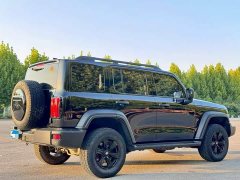 Tank 300 Off-Road Edition 2.0T Conqueror - ფოტო 6