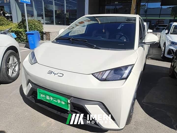 BYD Seagull 305km Freedom Edition - car from China
