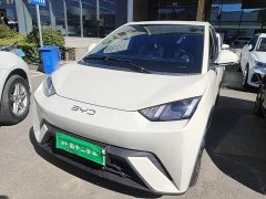 BYD Seagull 305km Freedom Edition - photo 1