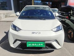 BYD Seagull 305km Freedom Edition - photo 2