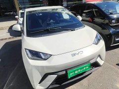 BYD Seagull 305km Freedom Edition - photo 3