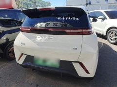 BYD Seagull 305km Freedom Edition - photo 5